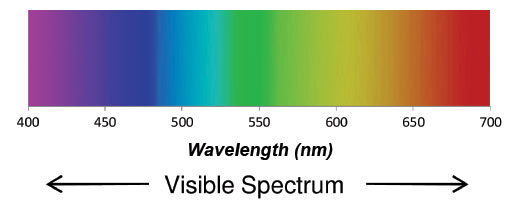 Visible Light Wavelength